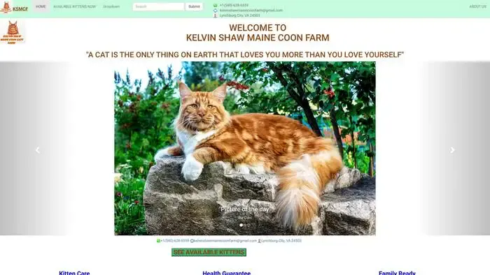 Screenshot of