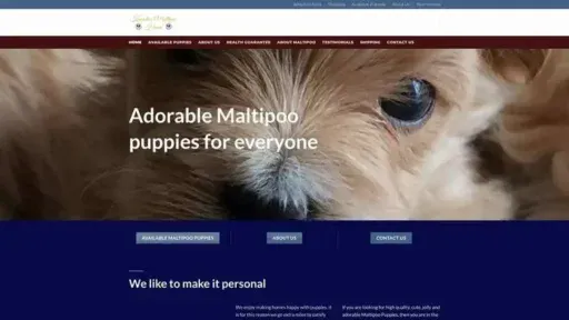 Screenshot of