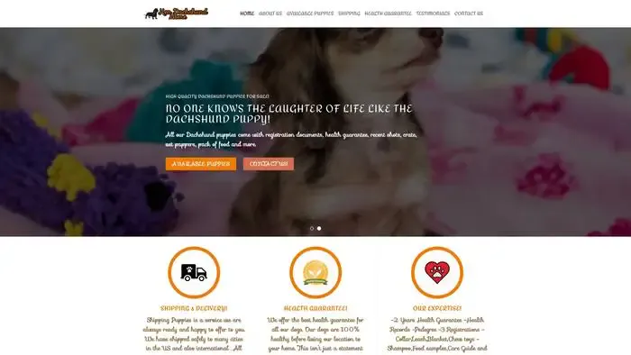 Screenshot of