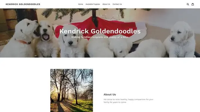 Screenshot of