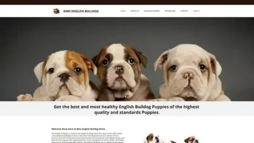 Screenshot of