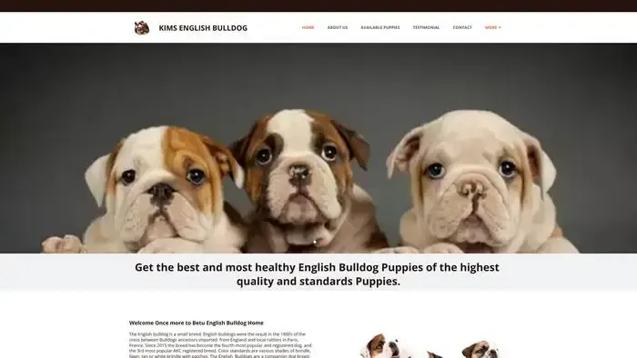 Screenshot of
