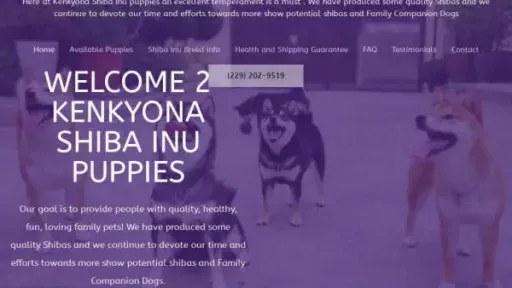 Screenshot of