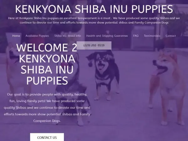 Screenshot of