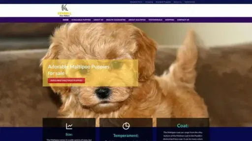 Screenshot of