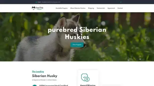 Screenshot of