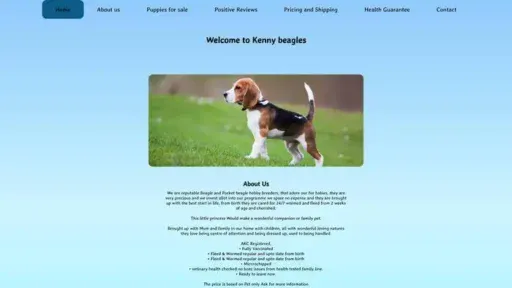 Screenshot of