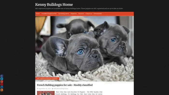 Screenshot of