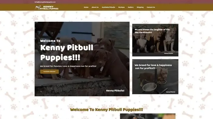 Screenshot of