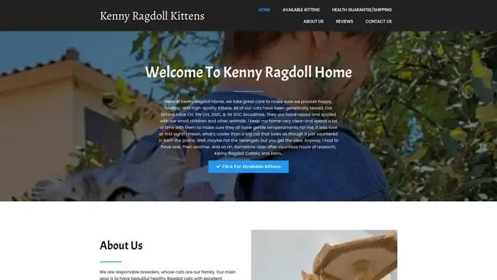 Screenshot of