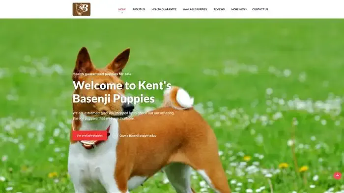 Screenshot of