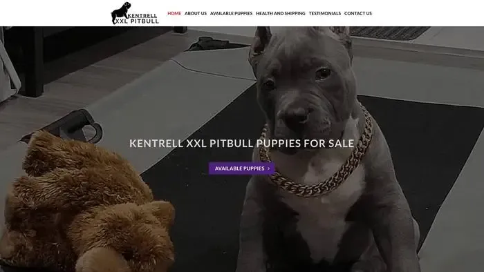 Screenshot of