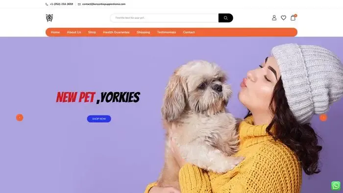 Screenshot of
