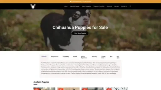 Screenshot of