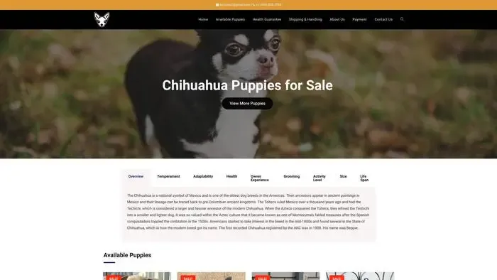 Screenshot of