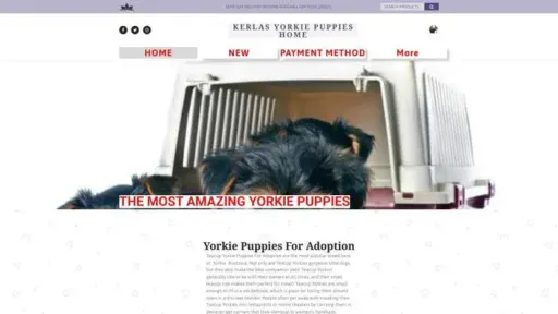 Screenshot of