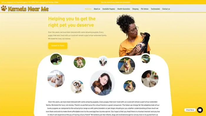 Screenshot of