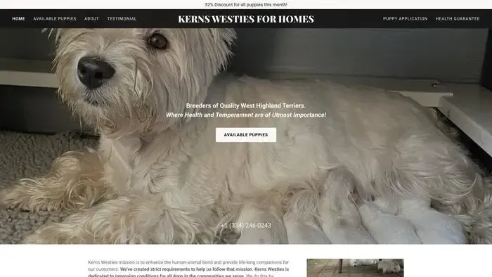 Screenshot of