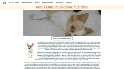 Screenshot of