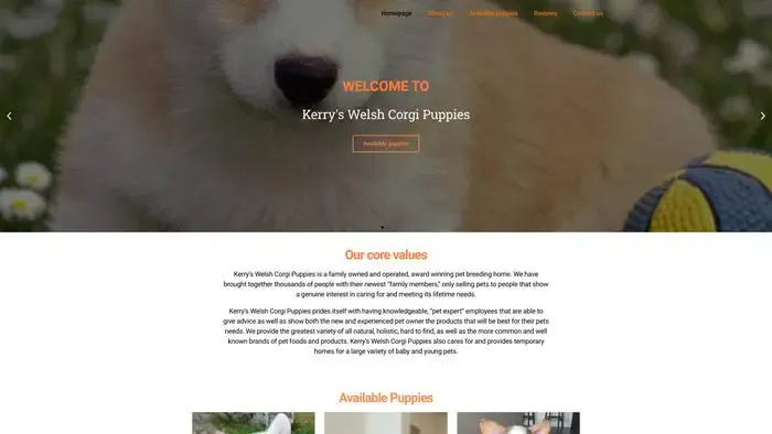 Screenshot of
