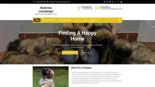 Screenshot of