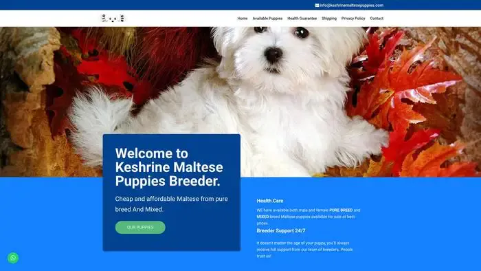 Screenshot of