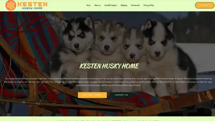 Screenshot of