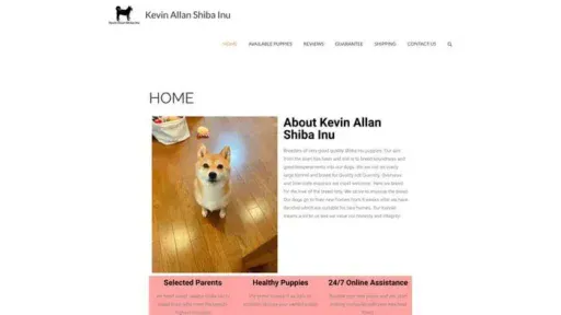 Screenshot of