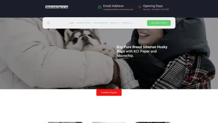 Screenshot of