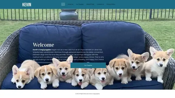 Screenshot of