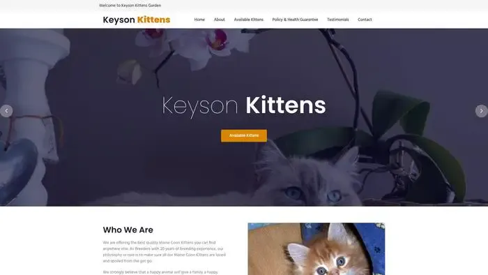Screenshot of