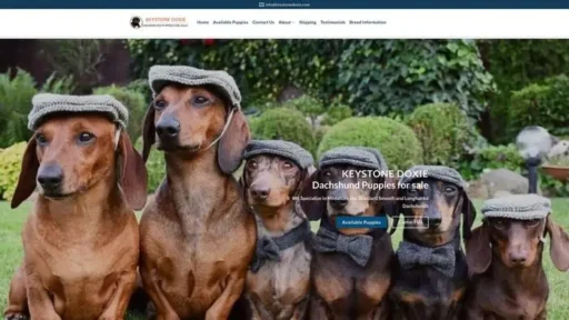 Screenshot of|