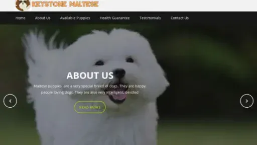 Screenshot of