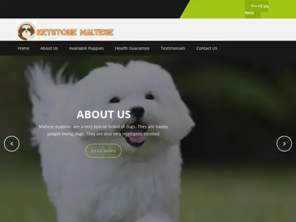 Screenshot of