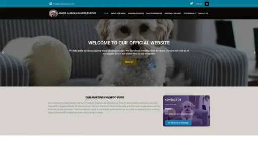 Screenshot of