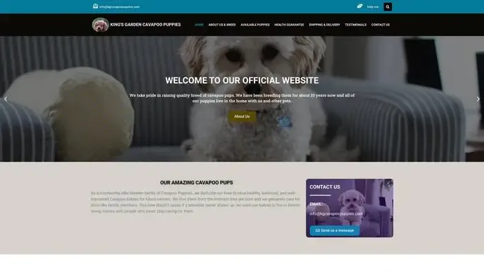 Screenshot of