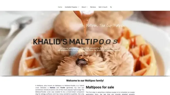 Screenshot of