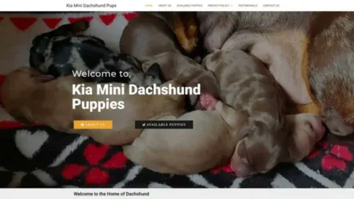 Screenshot of||