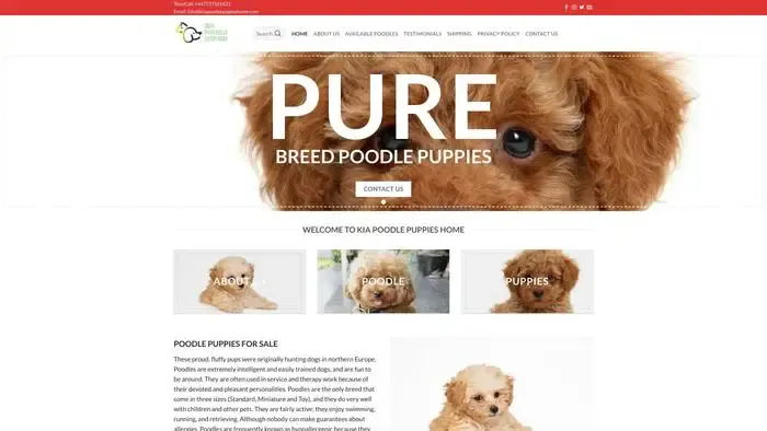 Screenshot of