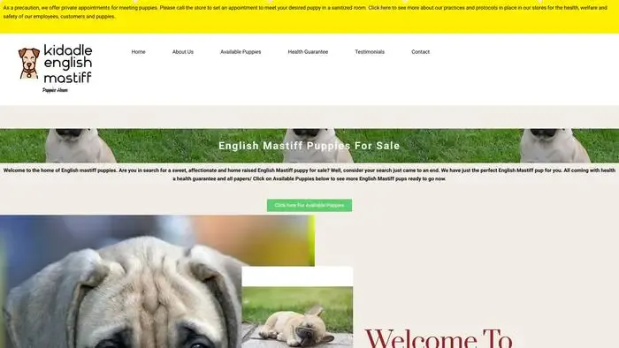 Screenshot of