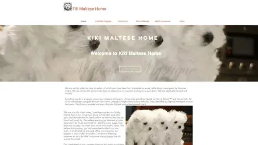 Screenshot of