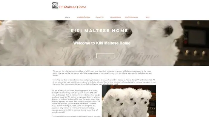 Screenshot of