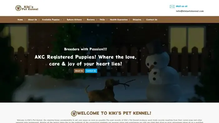 Screenshot of