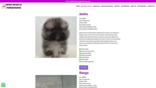 Screenshot of