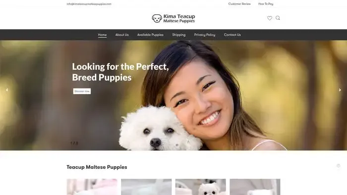 Screenshot of