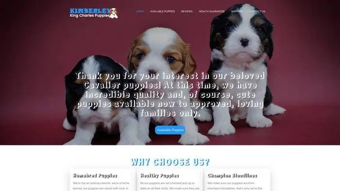 Screenshot of