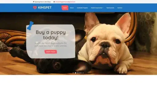 Screenshot of