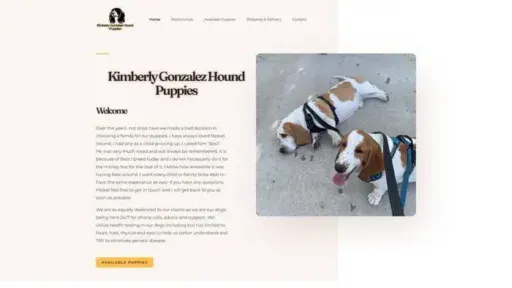 Screenshot of