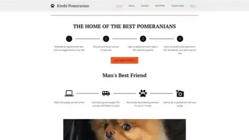 Screenshot of