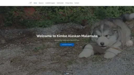 Screenshot of